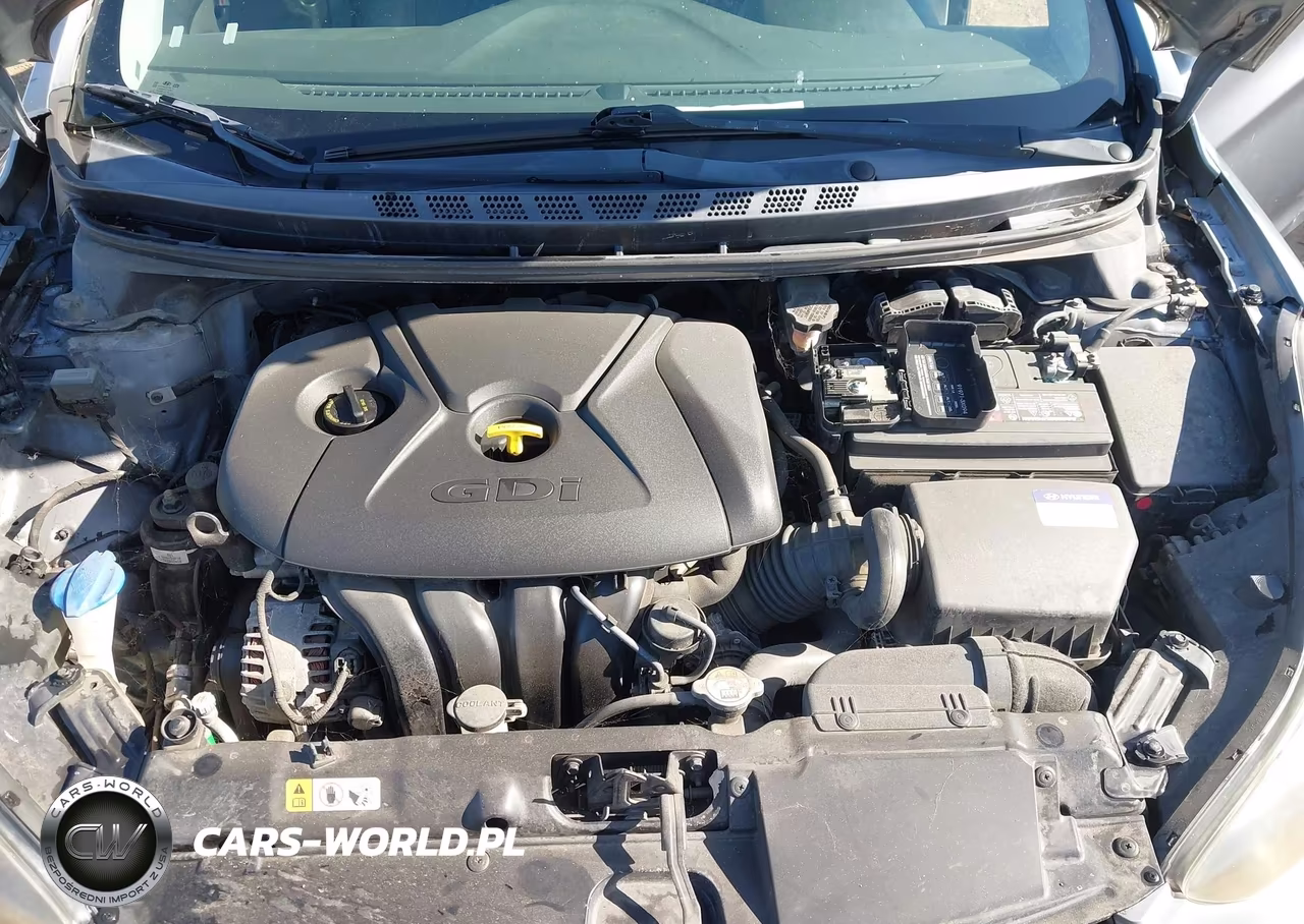 2014 Hyundai Elantra Sport VIN:KMHDH4AH5EU152650 - 10