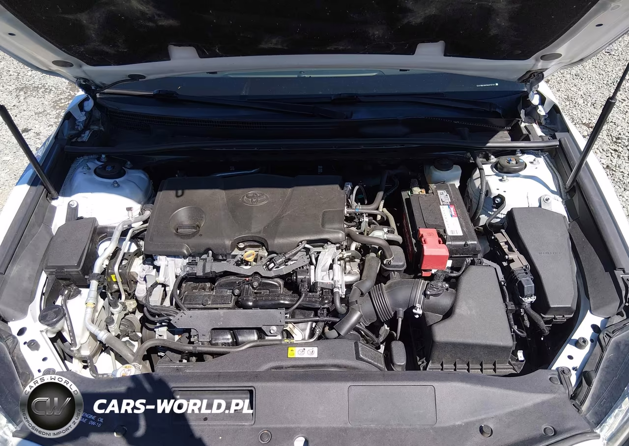 2019 Toyota Camry Xse VIN:4T1B61HK1KU213727 - 10