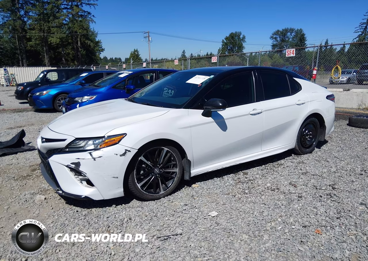 2019 Toyota Camry Xse VIN:4T1B61HK1KU213727 - 2