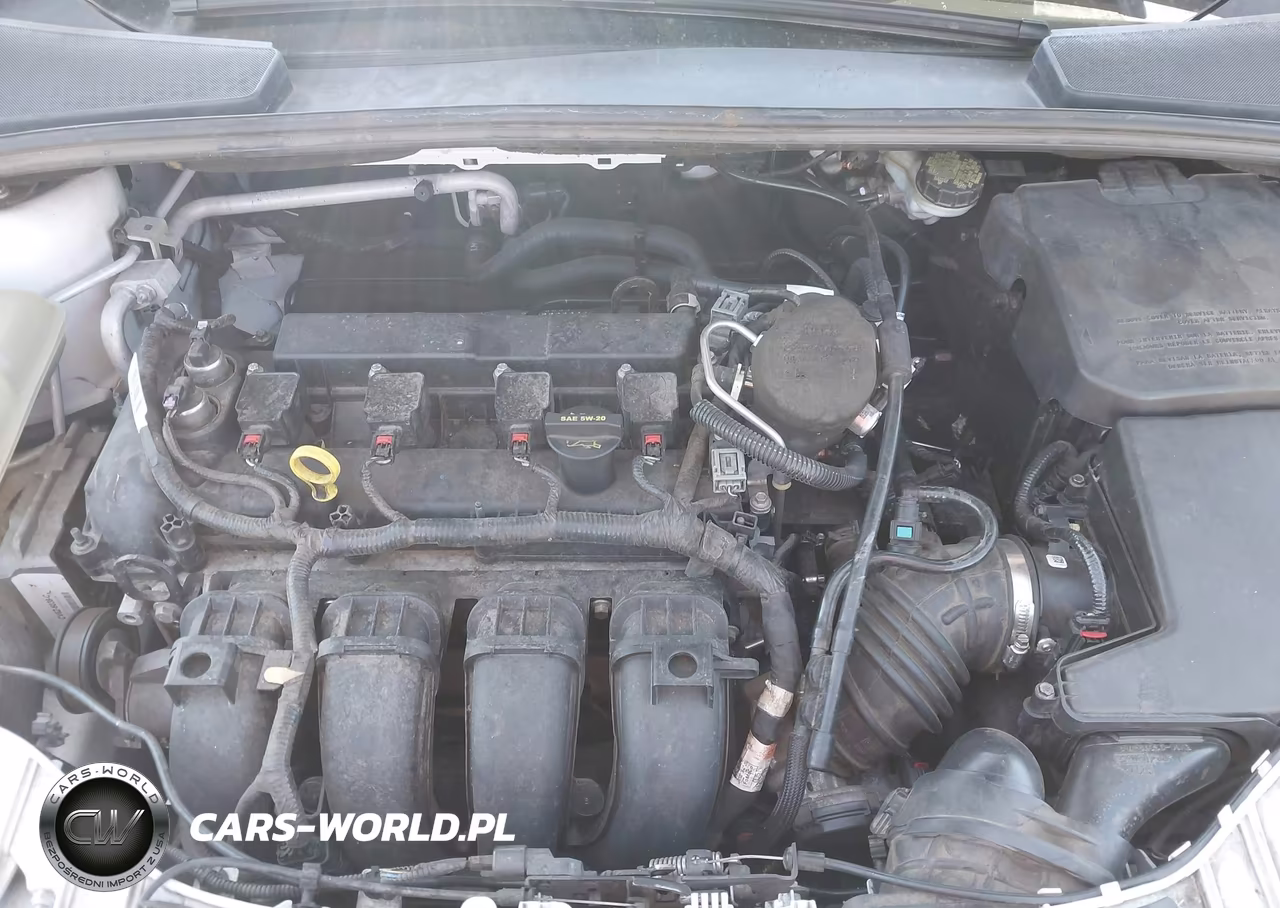 2013 Ford Focus Titanium VIN:1FADP3J27DL382603 - 10