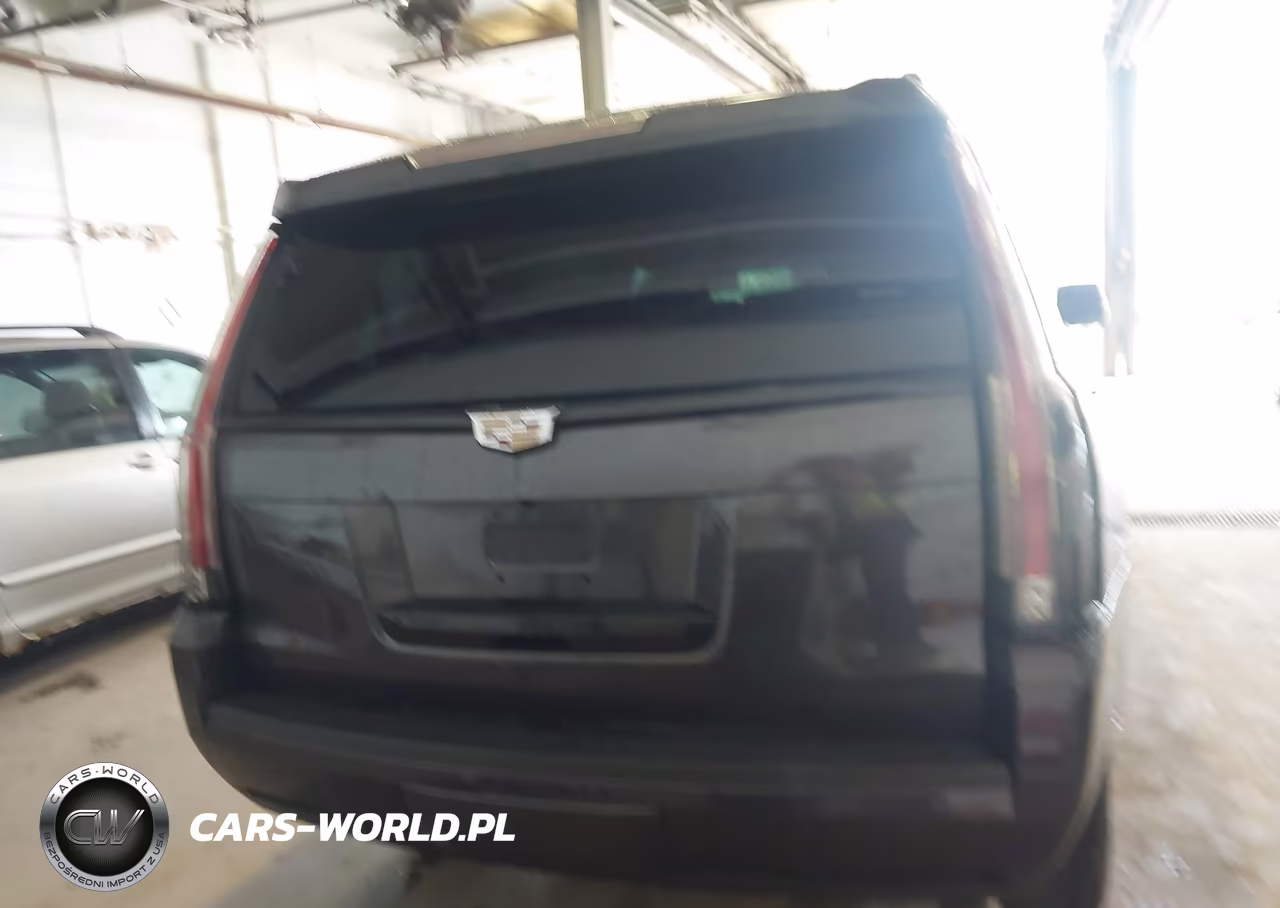 2016 Cadillac Escalade Platinum VIN:1GYS4DKJ2GR106072 - 16