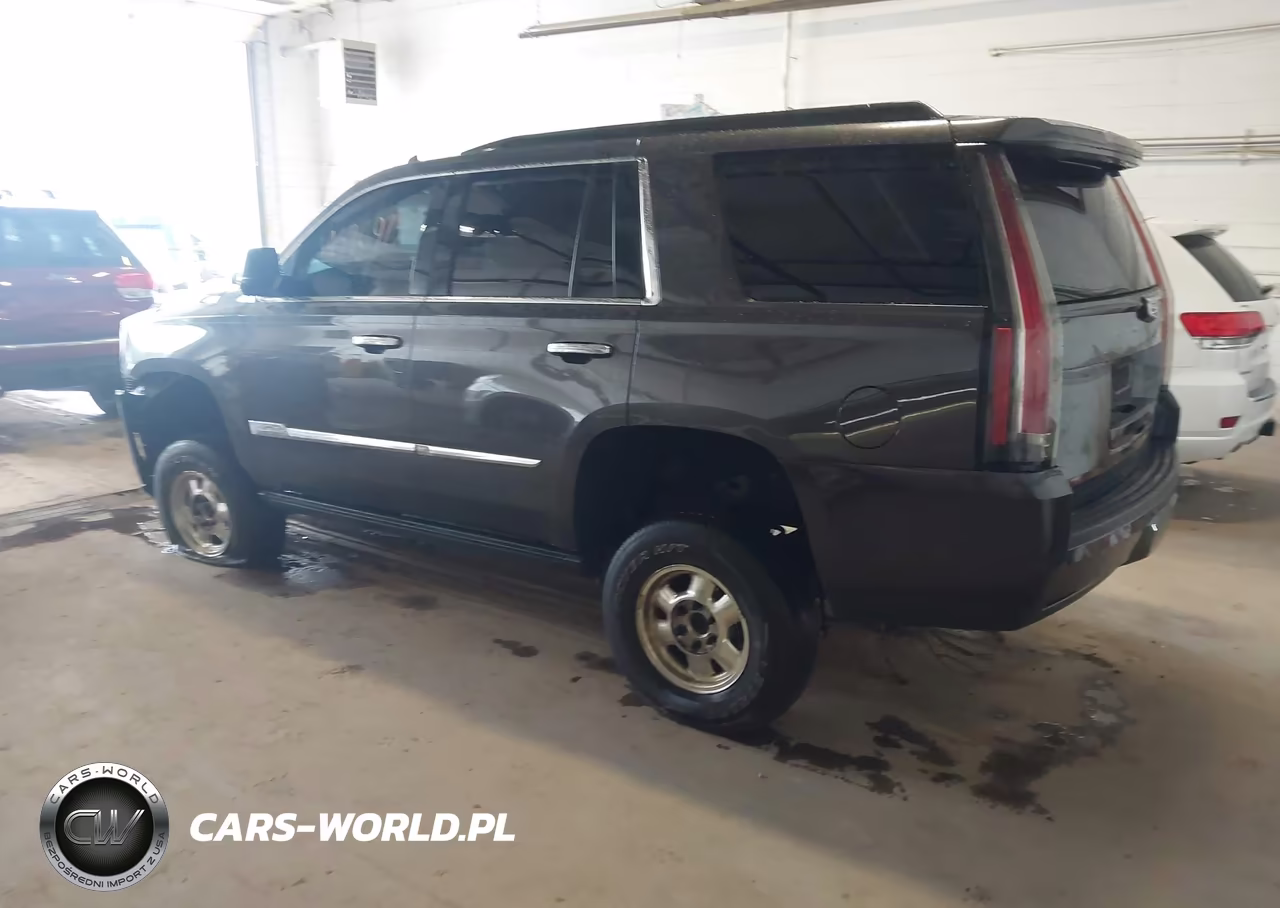 2016 Cadillac Escalade Platinum VIN:1GYS4DKJ2GR106072 - 3