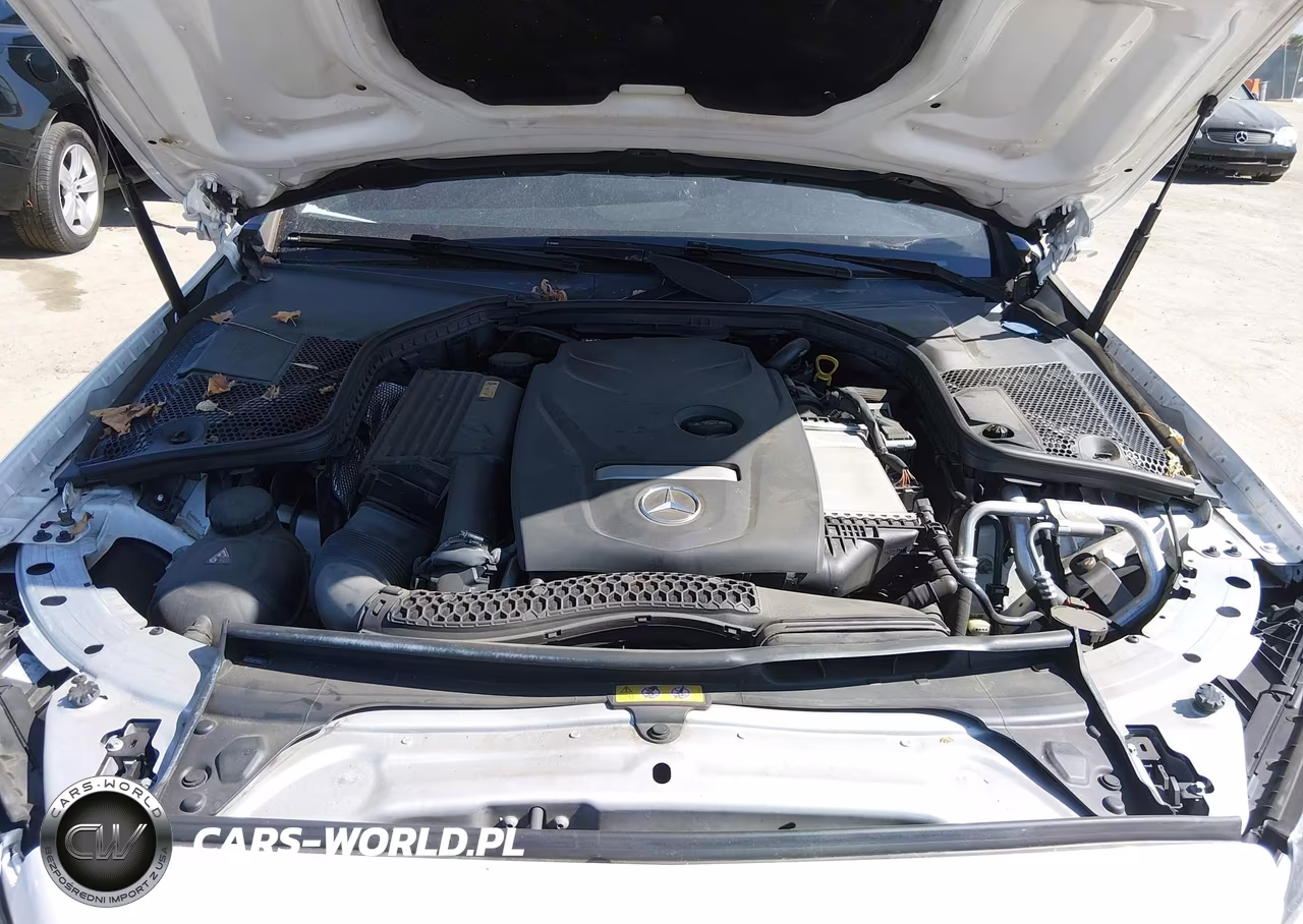 2017 Mercedes-Benz C 300 VIN:WDDWJ4JB6HF404692 - 10