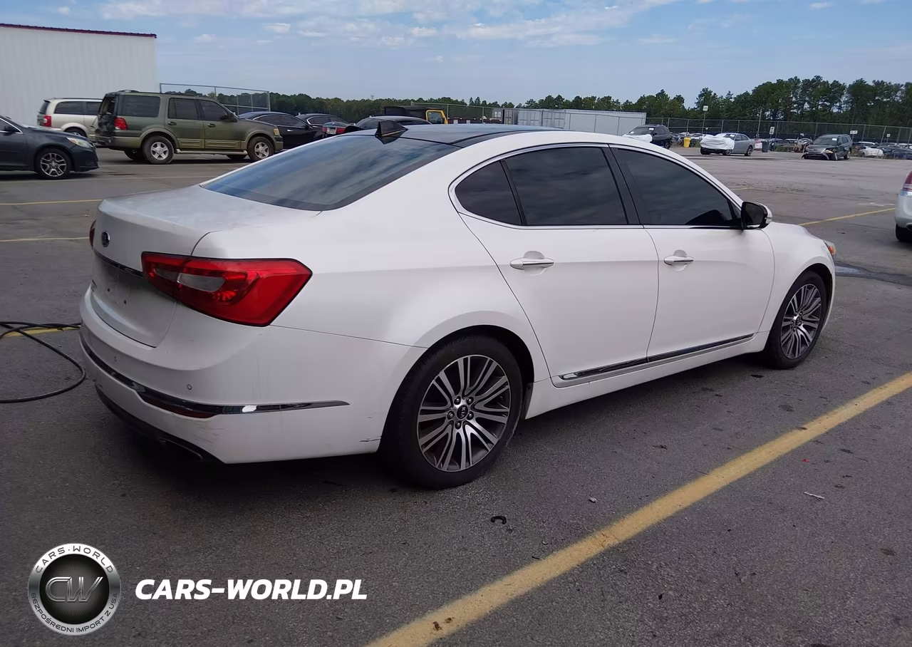 2014 Kia Cadenza Premium VIN:KNALN4D70E5135807 - 4