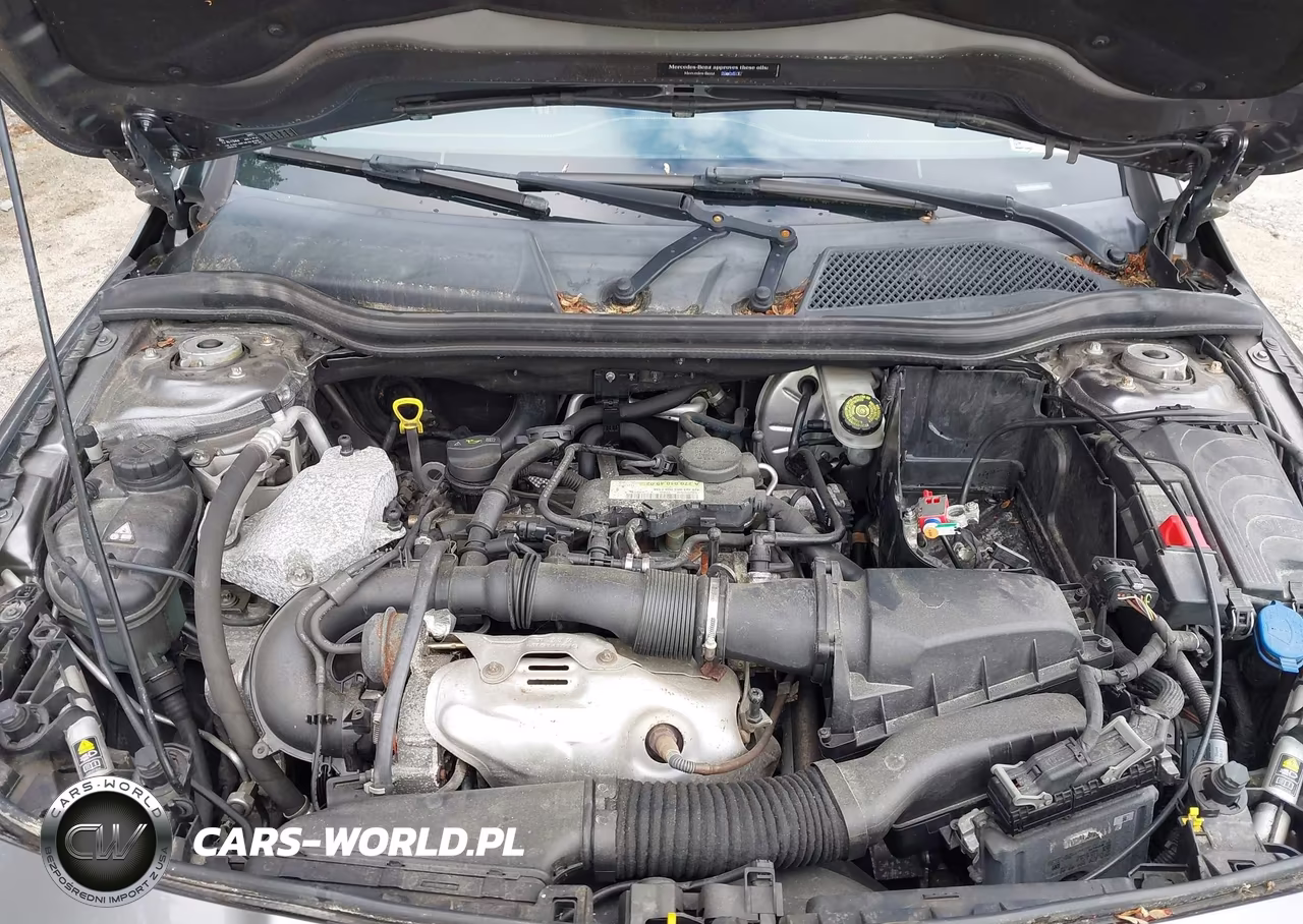 2014 Mercedes-Benz Cla 250 4Matic VIN:WDDSJ4GB9EN081553 - 10