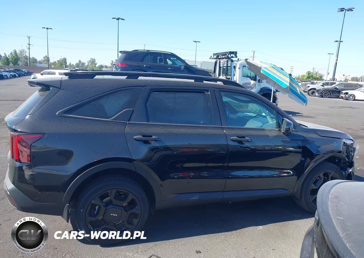 2024 Kia Sorento X-Line Sx VIN:5XYRKDJF2RG264484 - 14