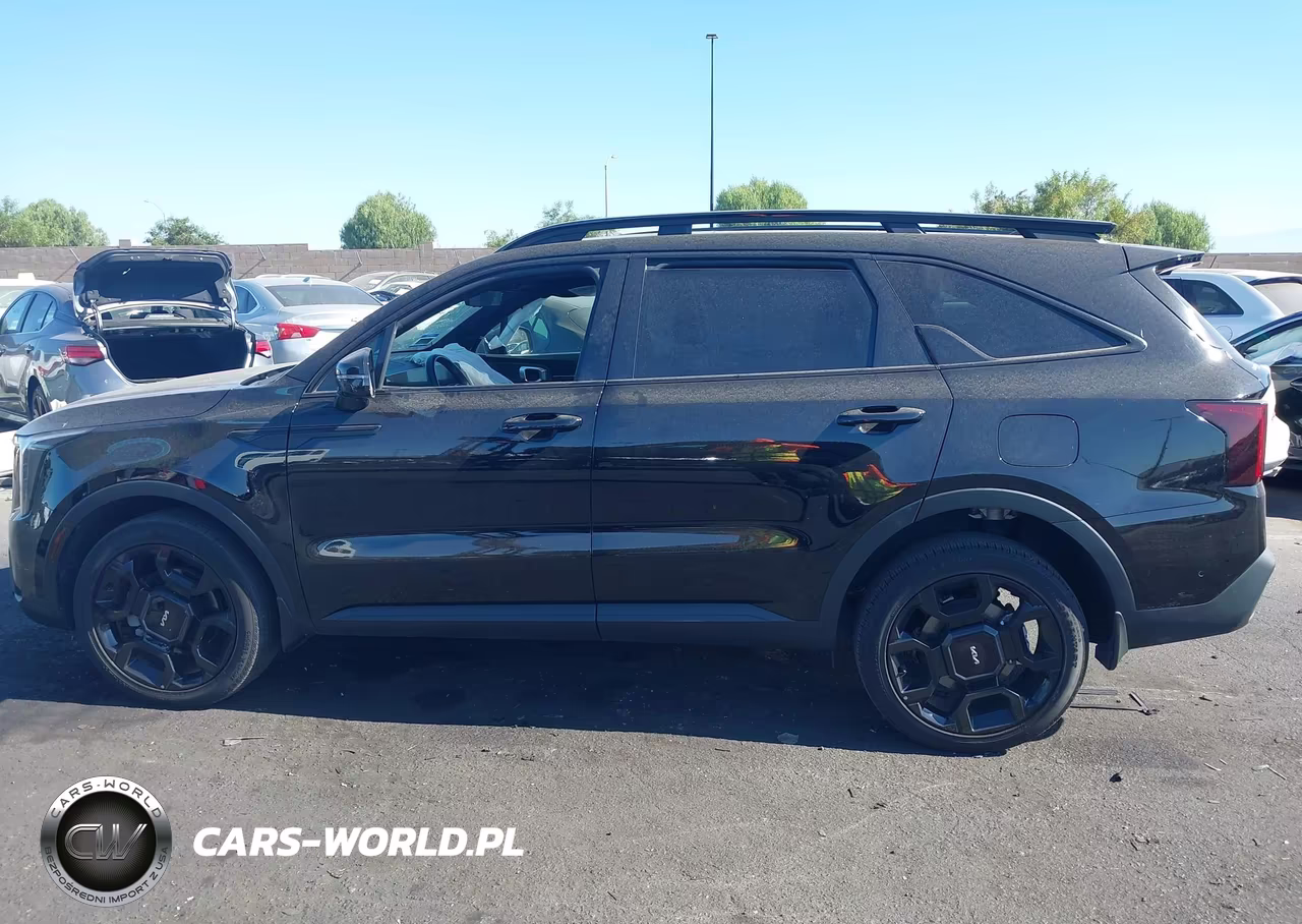 2024 Kia Sorento X-Line Sx VIN:5XYRKDJF2RG264484 - 15