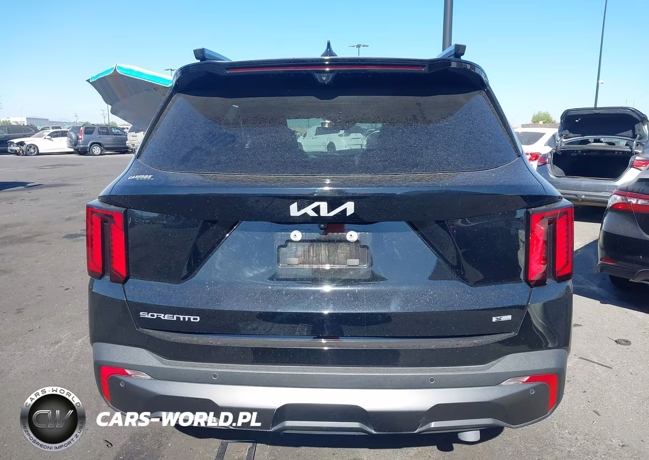2024 Kia Sorento X-Line Sx VIN:5XYRKDJF2RG264484 - 17