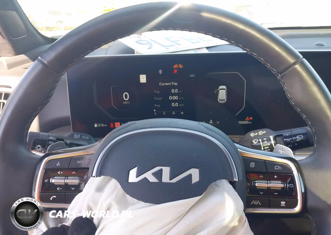 2024 Kia Sorento X-Line Sx VIN:5XYRKDJF2RG264484 - 7