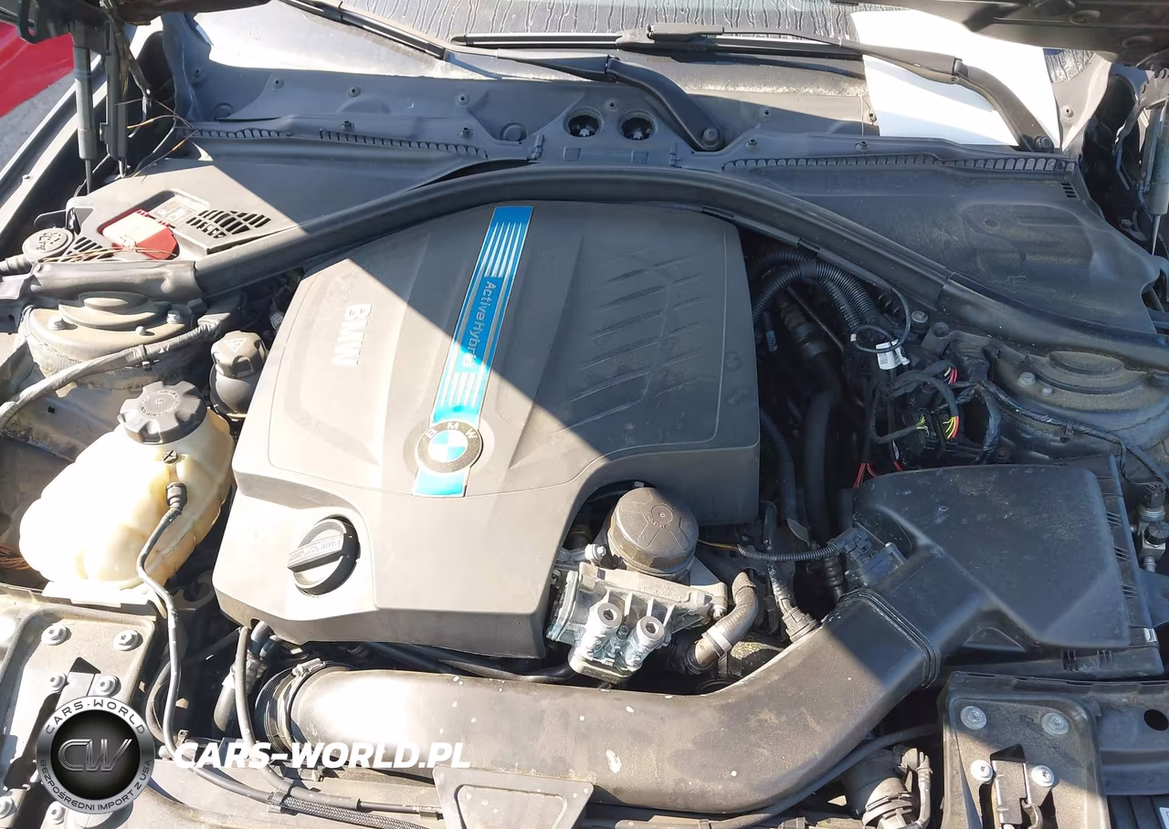2013 BMW Activehybrid 3 VIN:WBA3F9C57DF483820 - 10