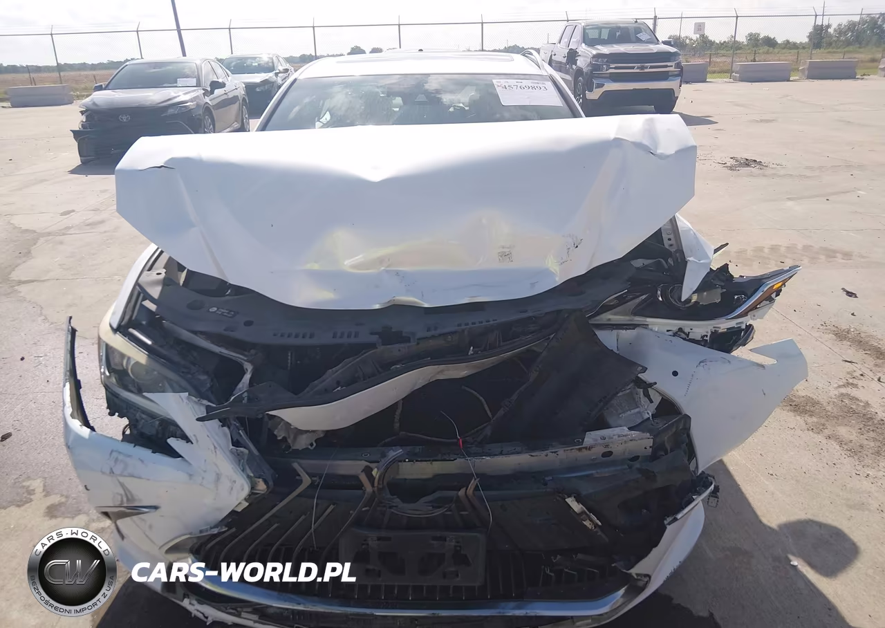 2019 Lexus Es 350 VIN:58ABZ1B17KU004525 - 12