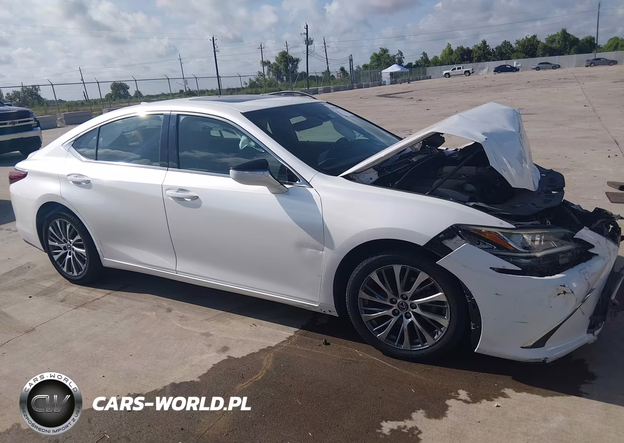2019 Lexus Es 350 VIN:58ABZ1B17KU004525 - 13