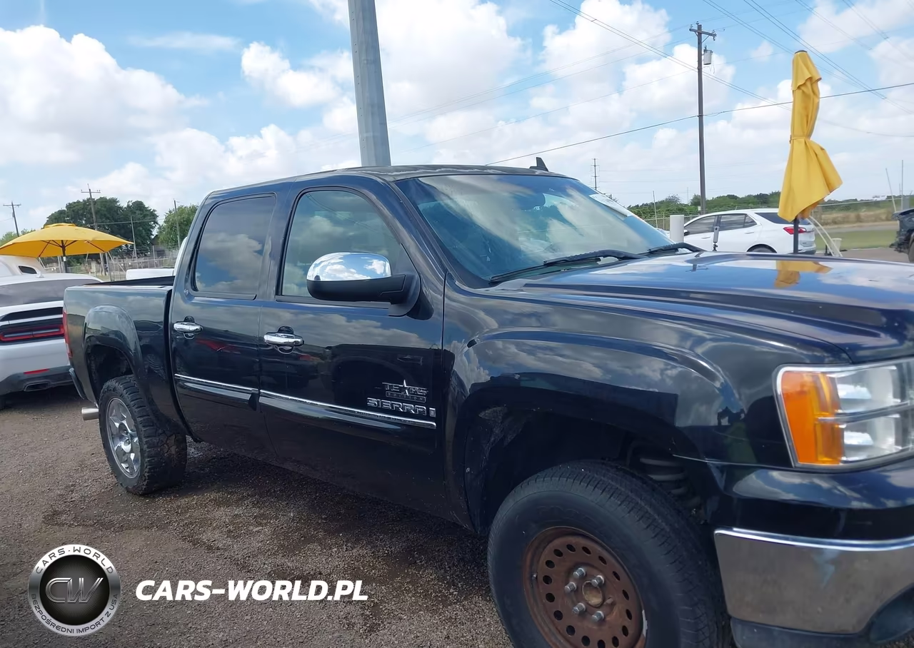 2009 GMC Sierra 1500 Sle VIN:3GTEC23J59G161305 - 13