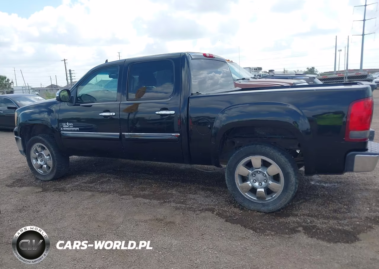 2009 GMC Sierra 1500 Sle VIN:3GTEC23J59G161305 - 14
