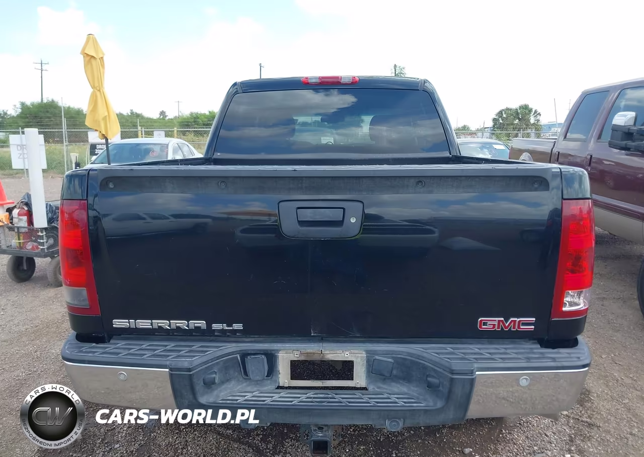 2009 GMC Sierra 1500 Sle VIN:3GTEC23J59G161305 - 16