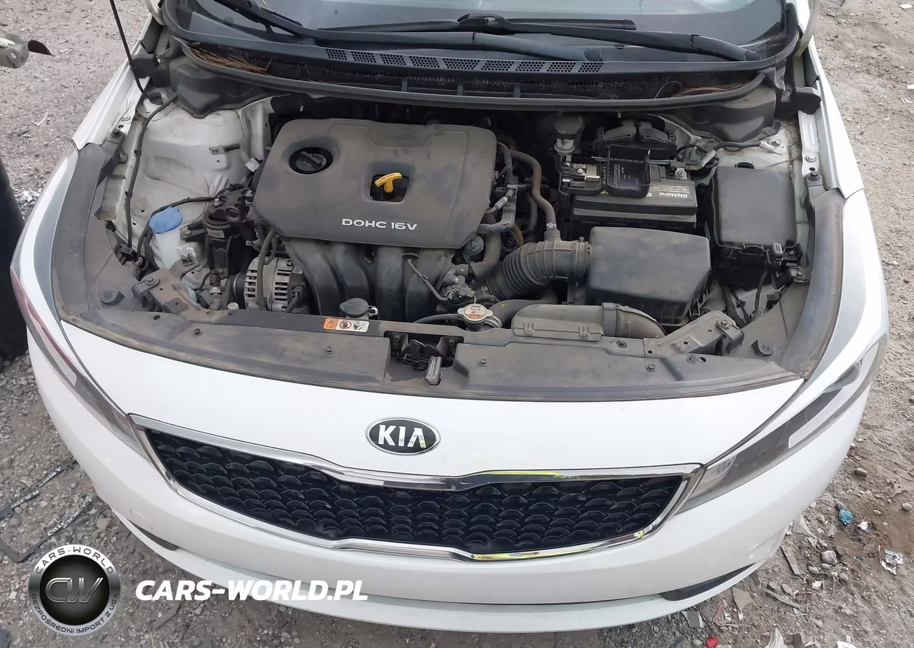 2017 Kia Forte Lx VIN:3KPFL4A73HE130295 - 10