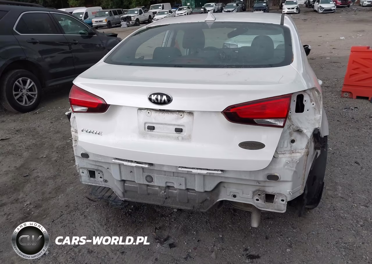 2017 Kia Forte Lx VIN:3KPFL4A73HE130295 - 17