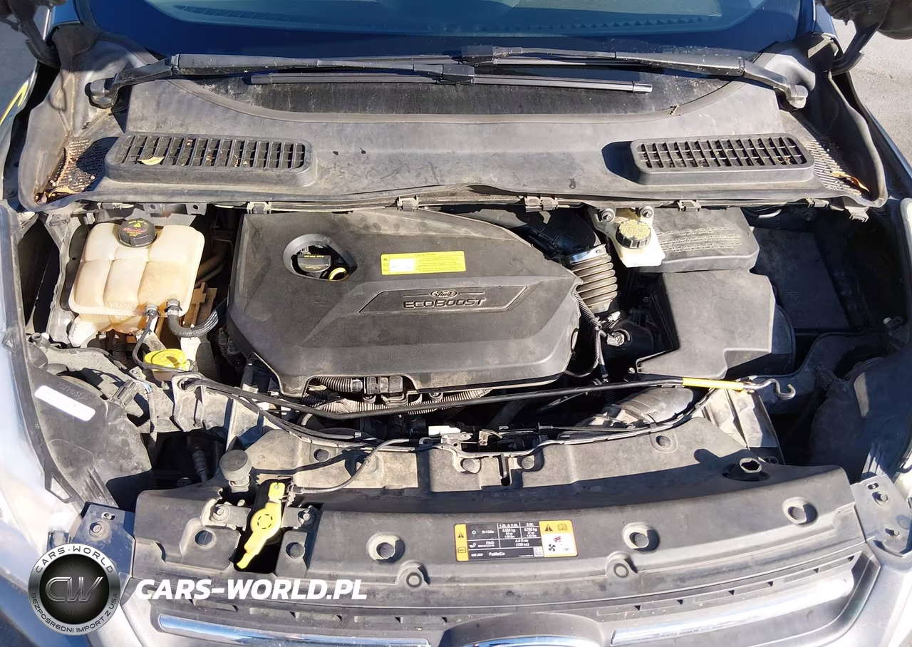 2014 Ford Escape Se VIN:1FMCU0GX4EUD00088 - 10