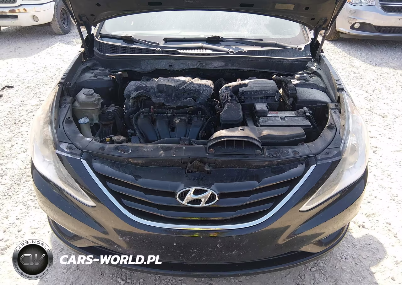 2013 Hyundai Sonata Gls VIN:5NPEB4AC1DH618470 - 10