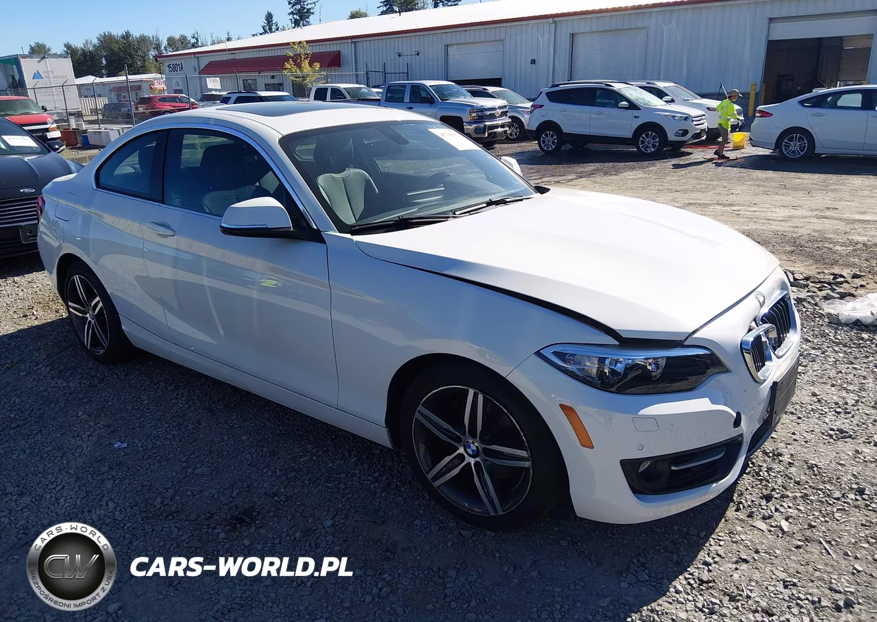 2017 BMW 230I xDrive