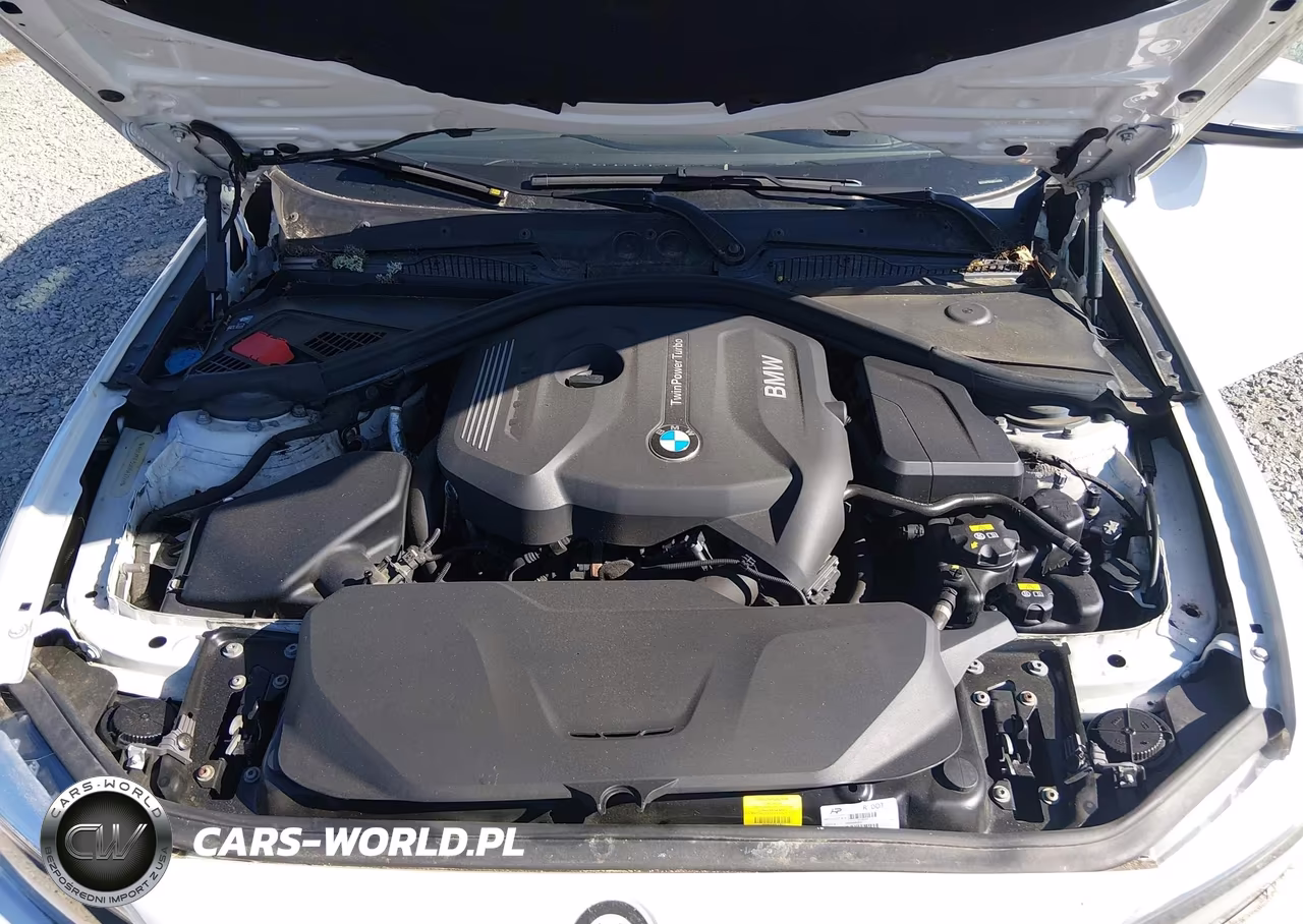 2017 BMW 230I xDrive VIN:WBA2H9C35HV642222 - 10