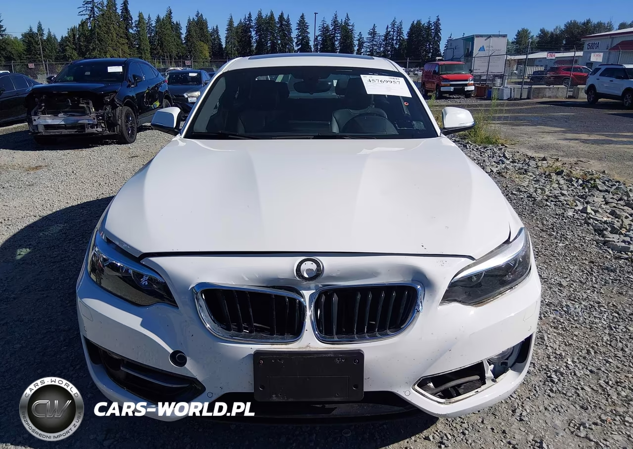 2017 BMW 230I xDrive VIN:WBA2H9C35HV642222 - 12