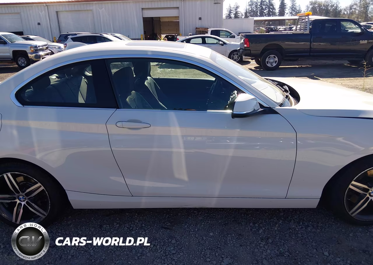 2017 BMW 230I xDrive VIN:WBA2H9C35HV642222 - 13