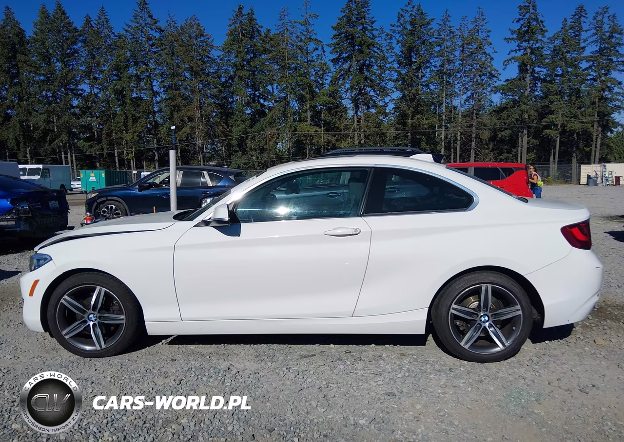 2017 BMW 230I xDrive VIN:WBA2H9C35HV642222 - 14