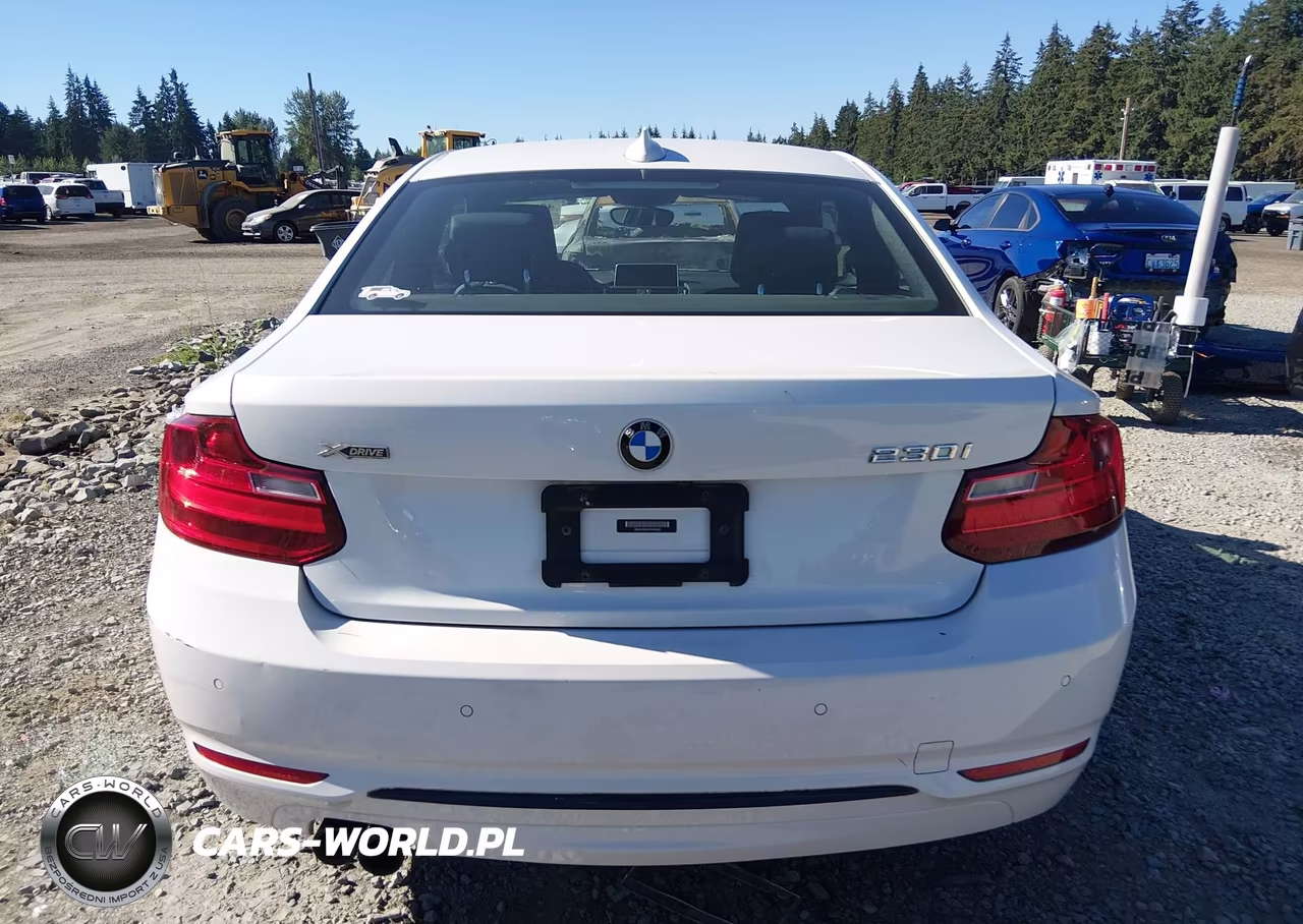 2017 BMW 230I xDrive VIN:WBA2H9C35HV642222 - 16