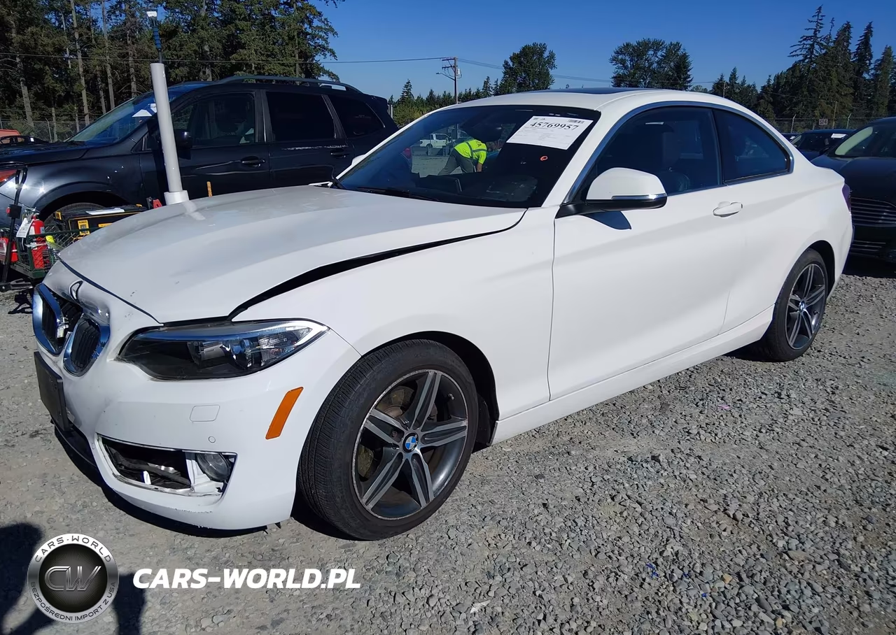 2017 BMW 230I xDrive VIN:WBA2H9C35HV642222 - 2