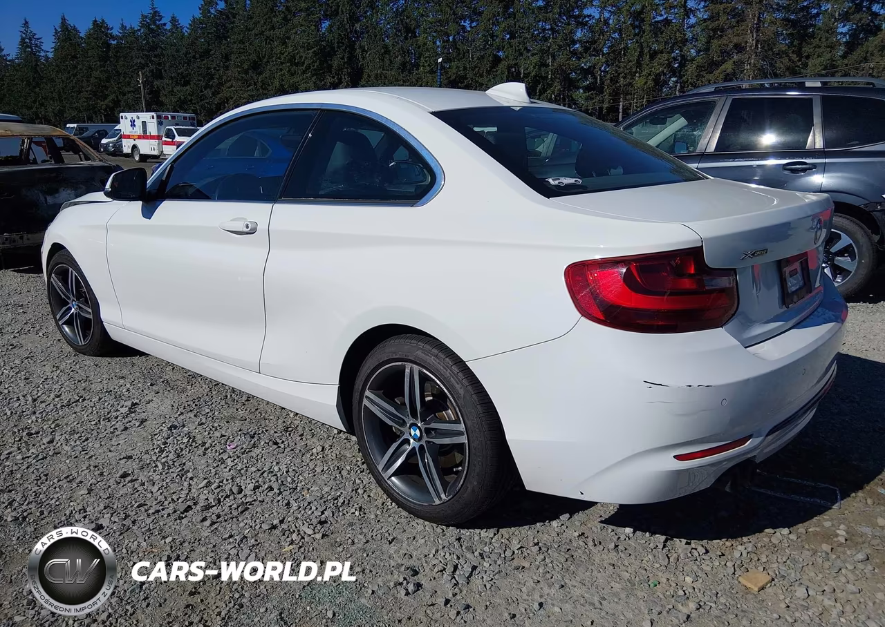 2017 BMW 230I xDrive VIN:WBA2H9C35HV642222 - 3