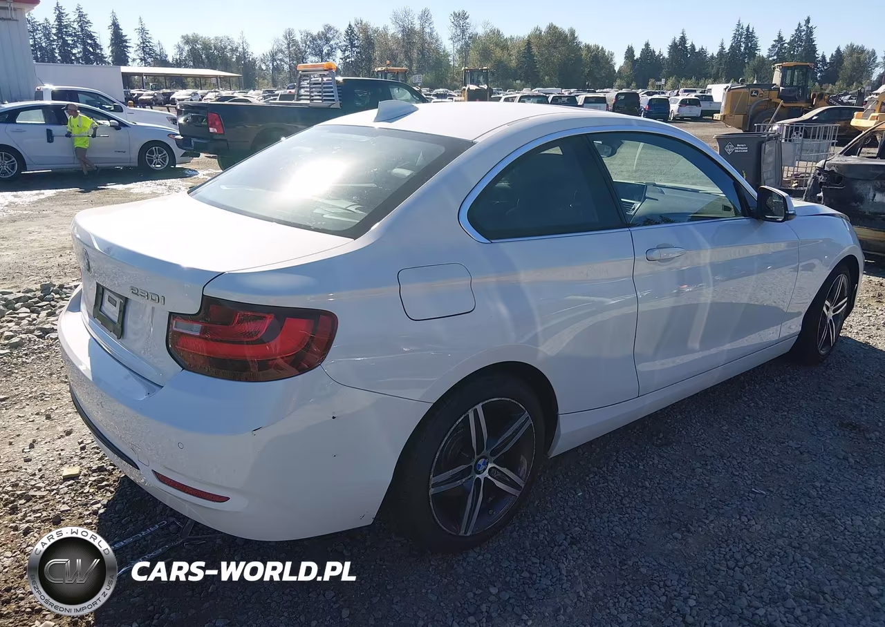 2017 BMW 230I xDrive VIN:WBA2H9C35HV642222 - 4