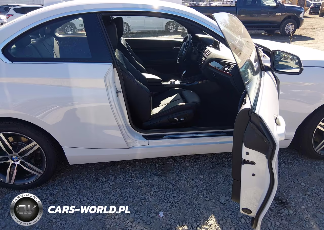 2017 BMW 230I xDrive VIN:WBA2H9C35HV642222 - 5