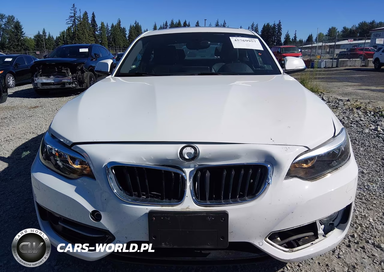 2017 BMW 230I xDrive VIN:WBA2H9C35HV642222 - 6