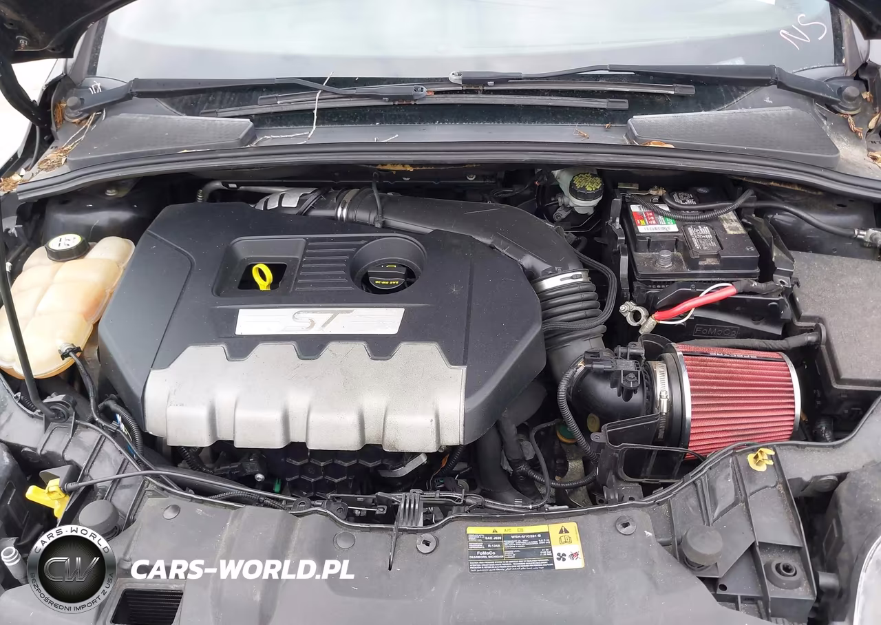 2014 Ford Focus St VIN:1FADP3L95EL227625 - 10
