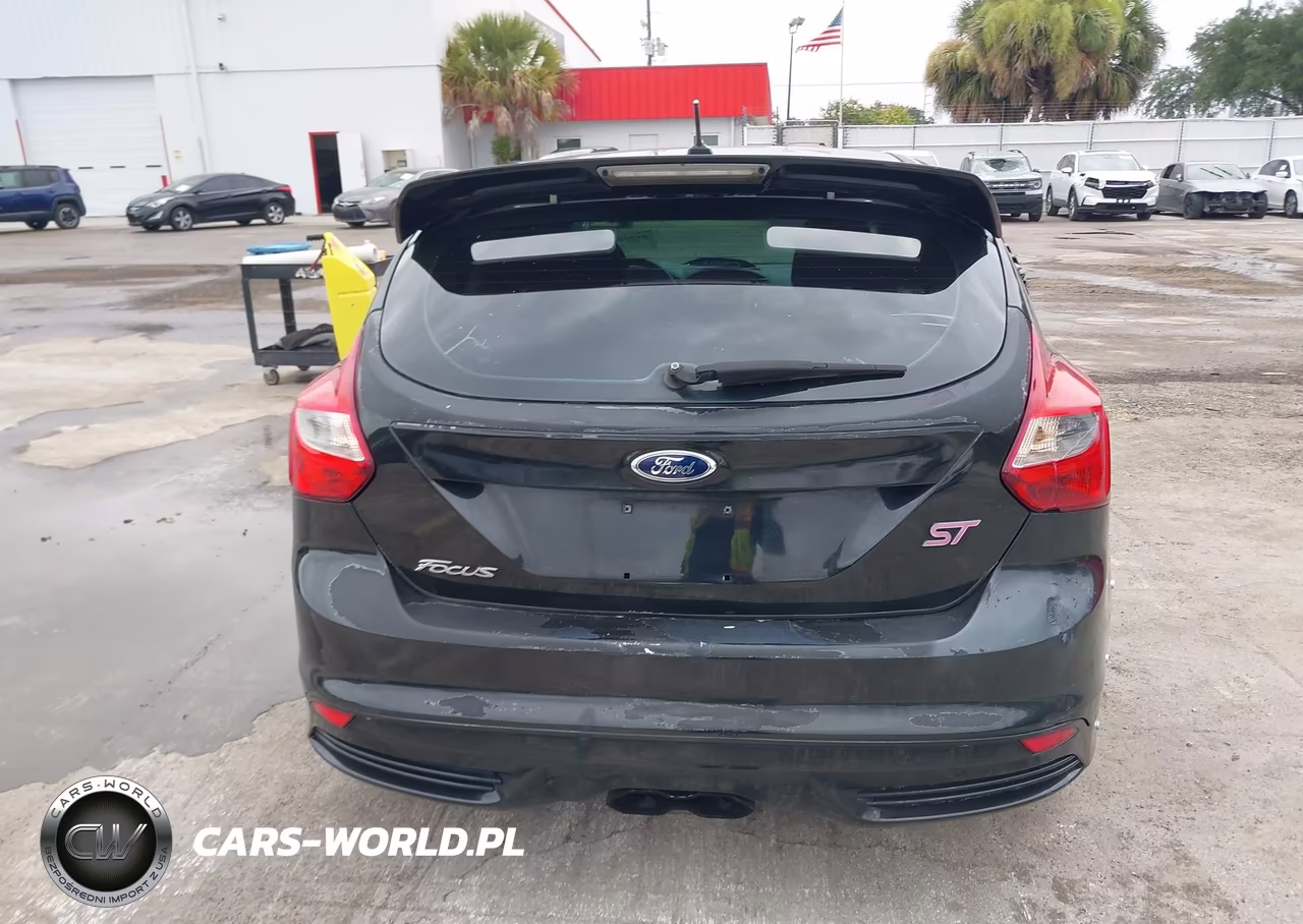 2014 Ford Focus St VIN:1FADP3L95EL227625 - 16