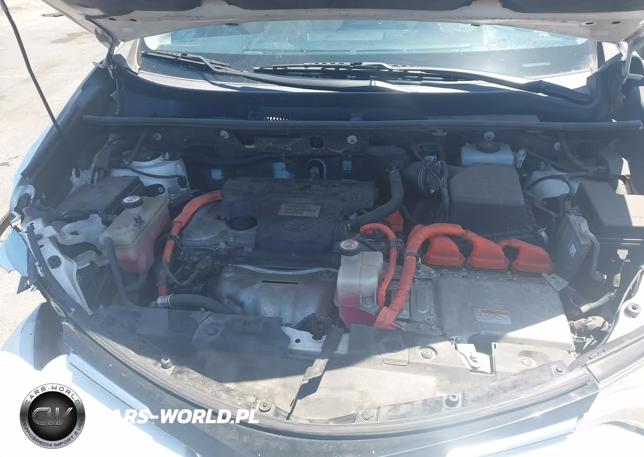 2016 Toyota Rav4 Hybrid Xle VIN:JTMRJREV7GD047008 - 10