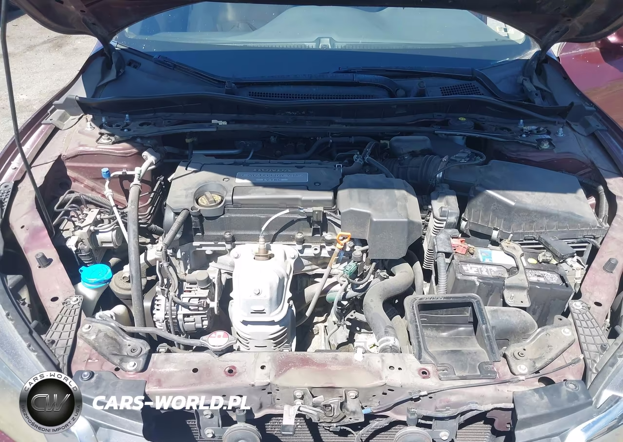 2013 Honda Accord Ex-L VIN:1HGCR2F81DA028497 - 10