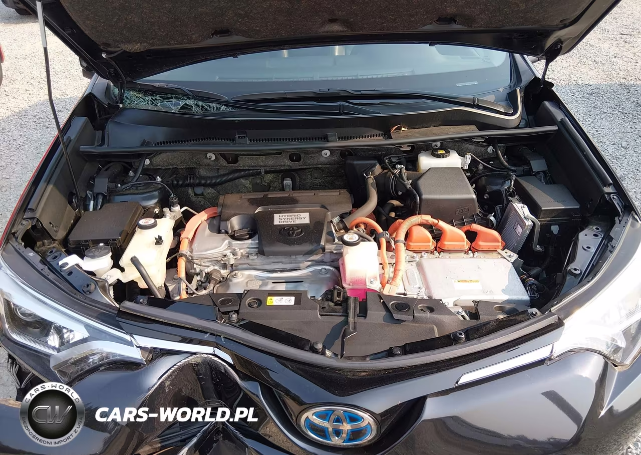 2018 Toyota Rav4 Hybrid Limited VIN:JTMDJREV7JD235660 - 10
