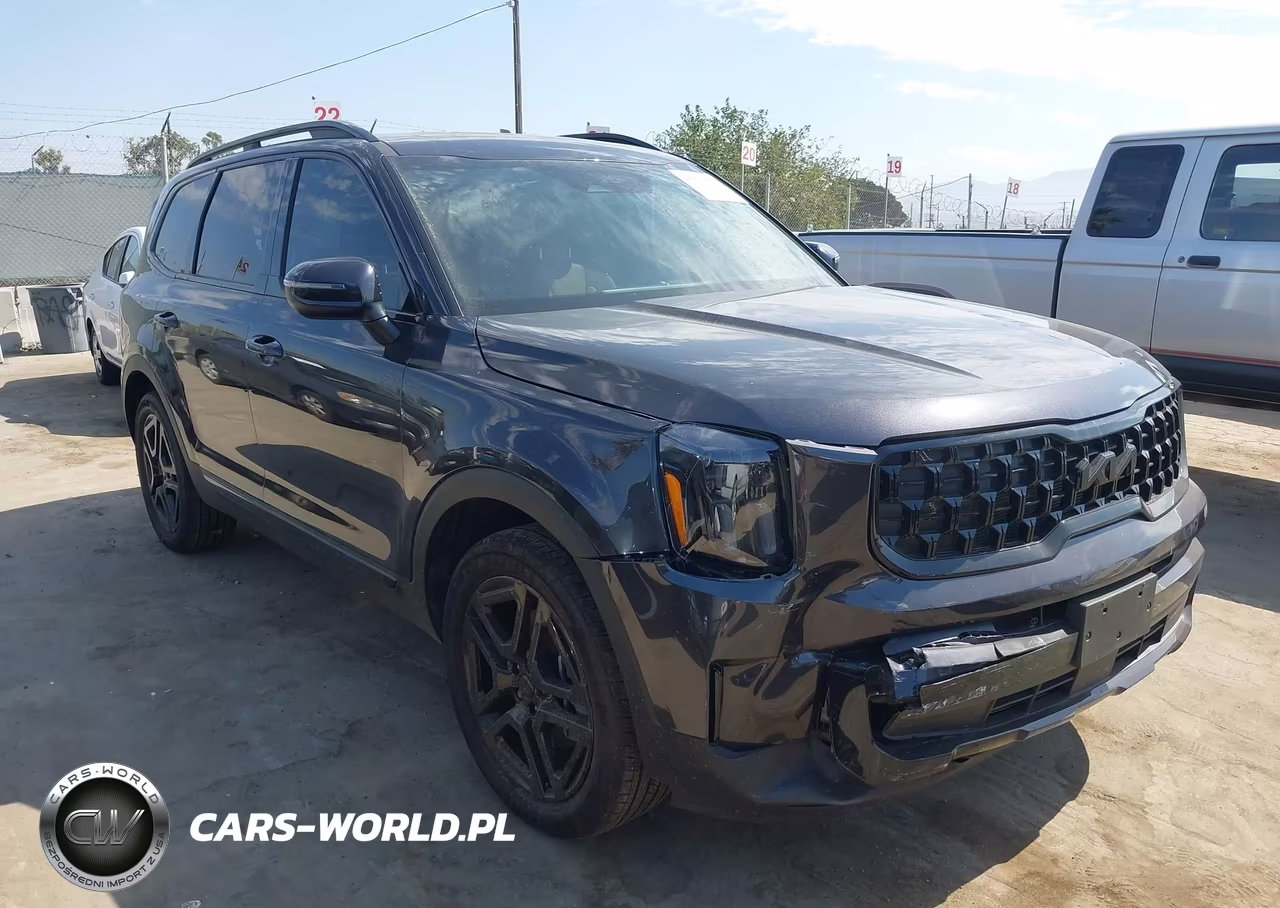 2025 Kia Telluride Ex X-Line VIN:5XYP3DGC0SG644592 - 1