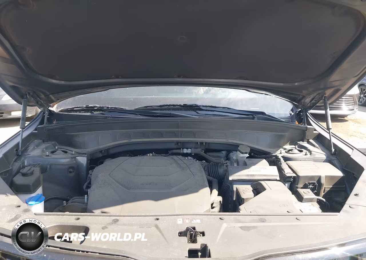 2025 Kia Telluride Ex X-Line VIN:5XYP3DGC0SG644592 - 10