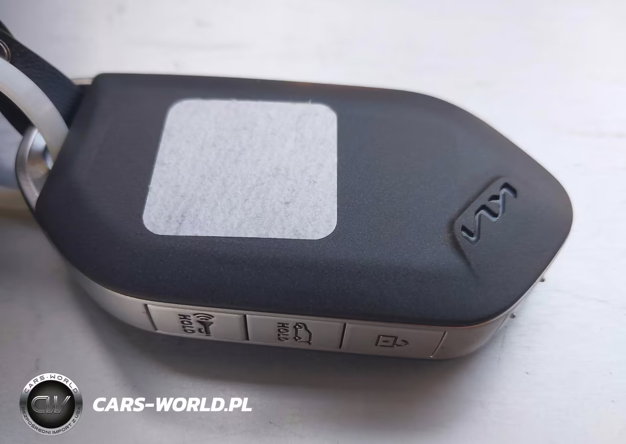 2025 Kia Telluride Ex X-Line VIN:5XYP3DGC0SG644592 - 11