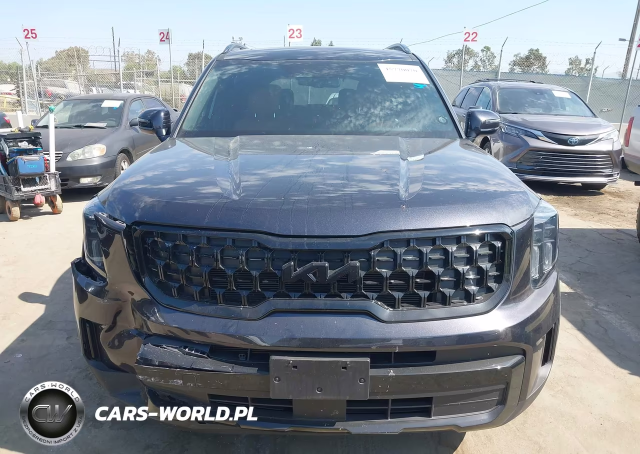 2025 Kia Telluride Ex X-Line VIN:5XYP3DGC0SG644592 - 12