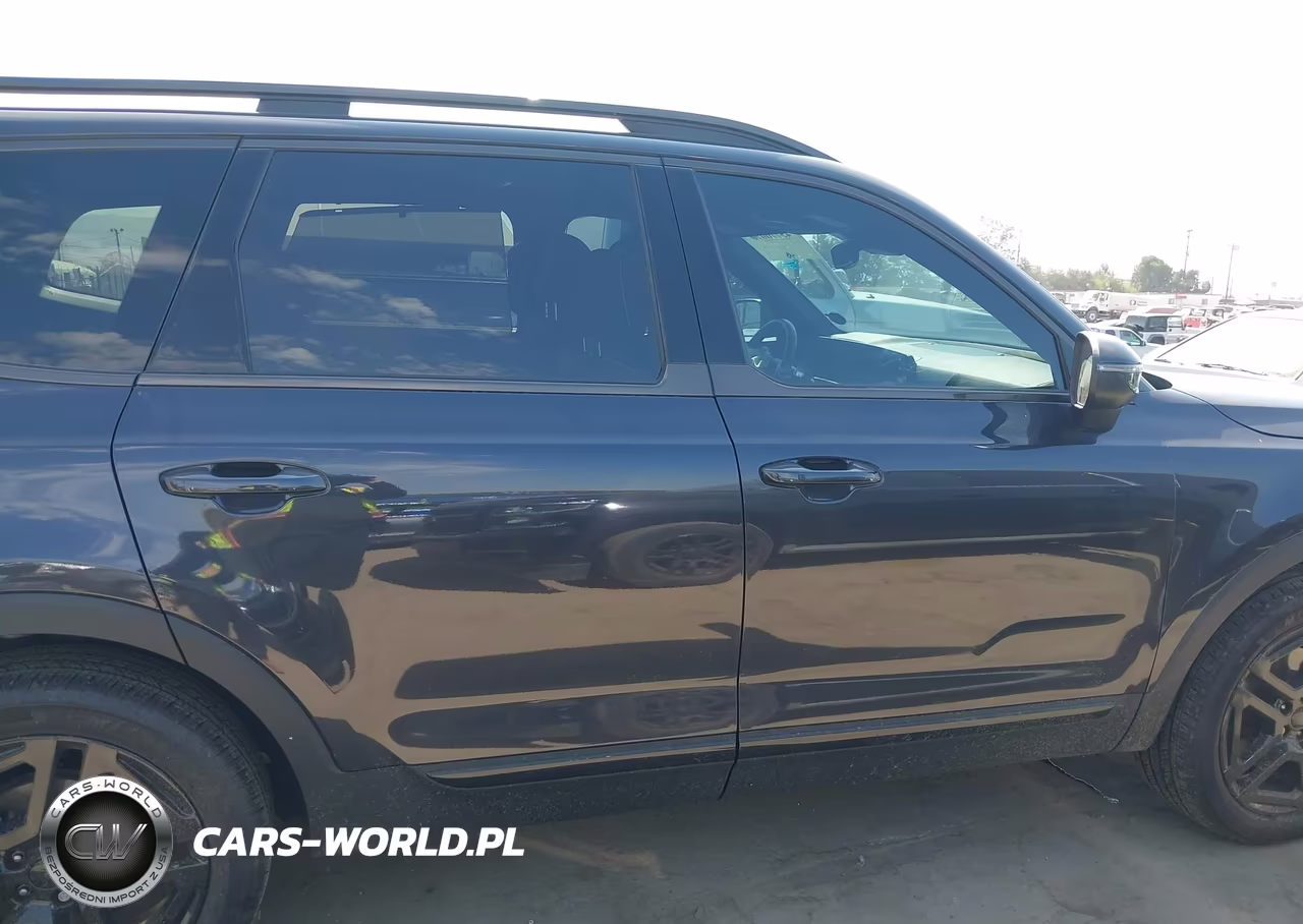 2025 Kia Telluride Ex X-Line VIN:5XYP3DGC0SG644592 - 13