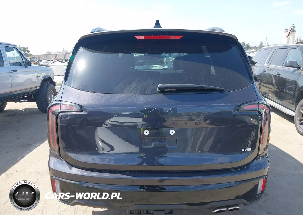 2025 Kia Telluride Ex X-Line VIN:5XYP3DGC0SG644592 - 16