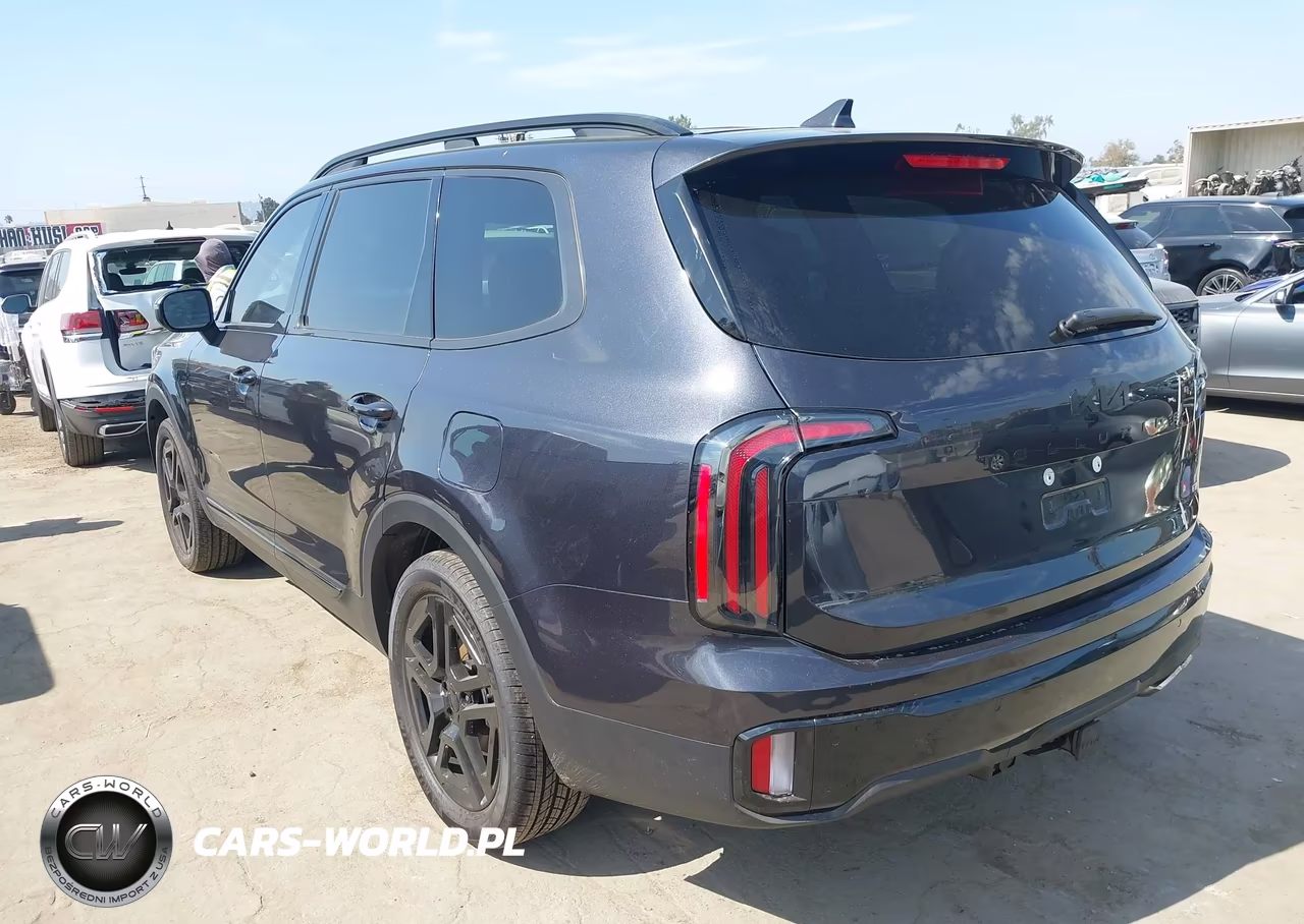 2025 Kia Telluride Ex X-Line VIN:5XYP3DGC0SG644592 - 3