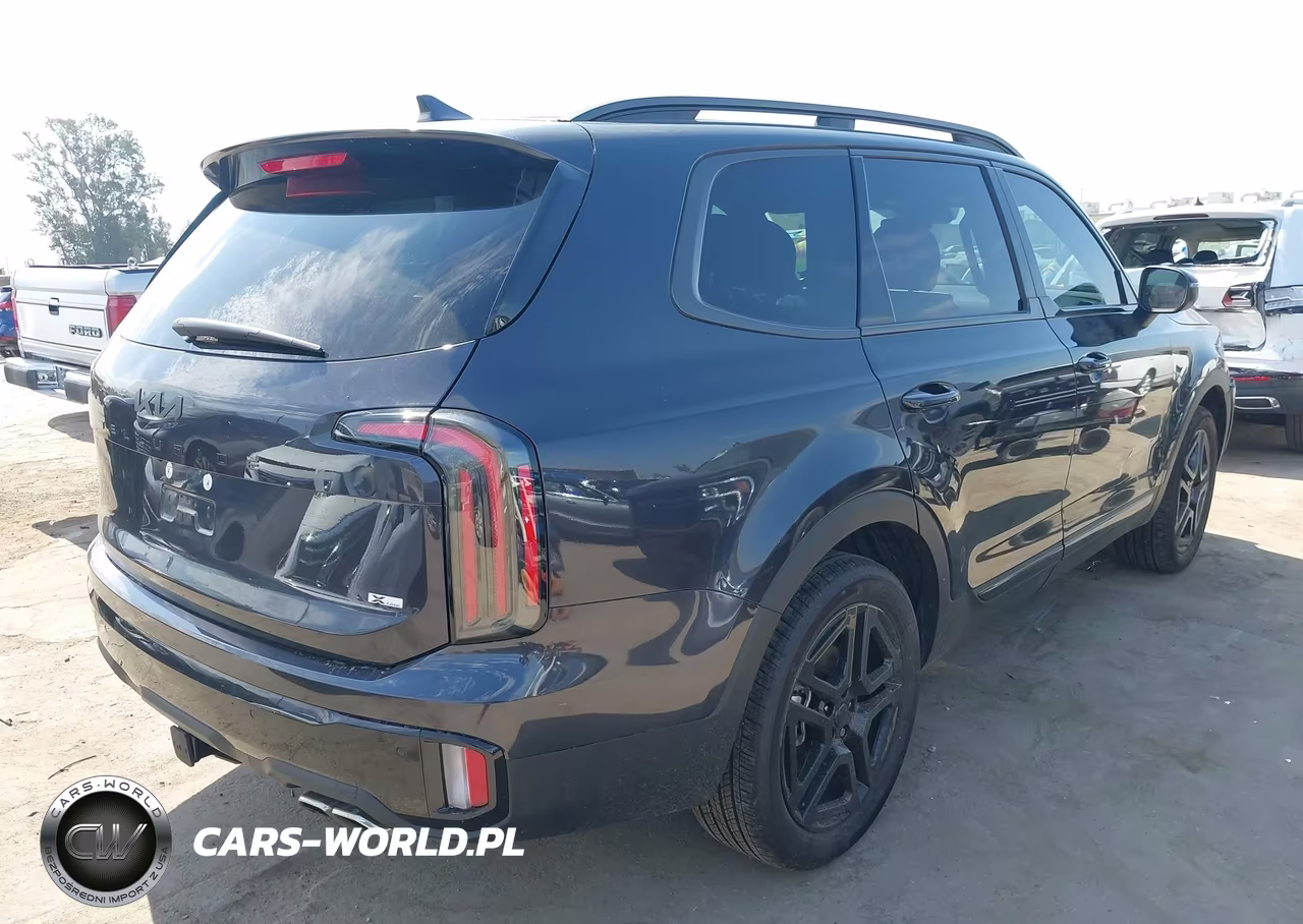 2025 Kia Telluride Ex X-Line VIN:5XYP3DGC0SG644592 - 4
