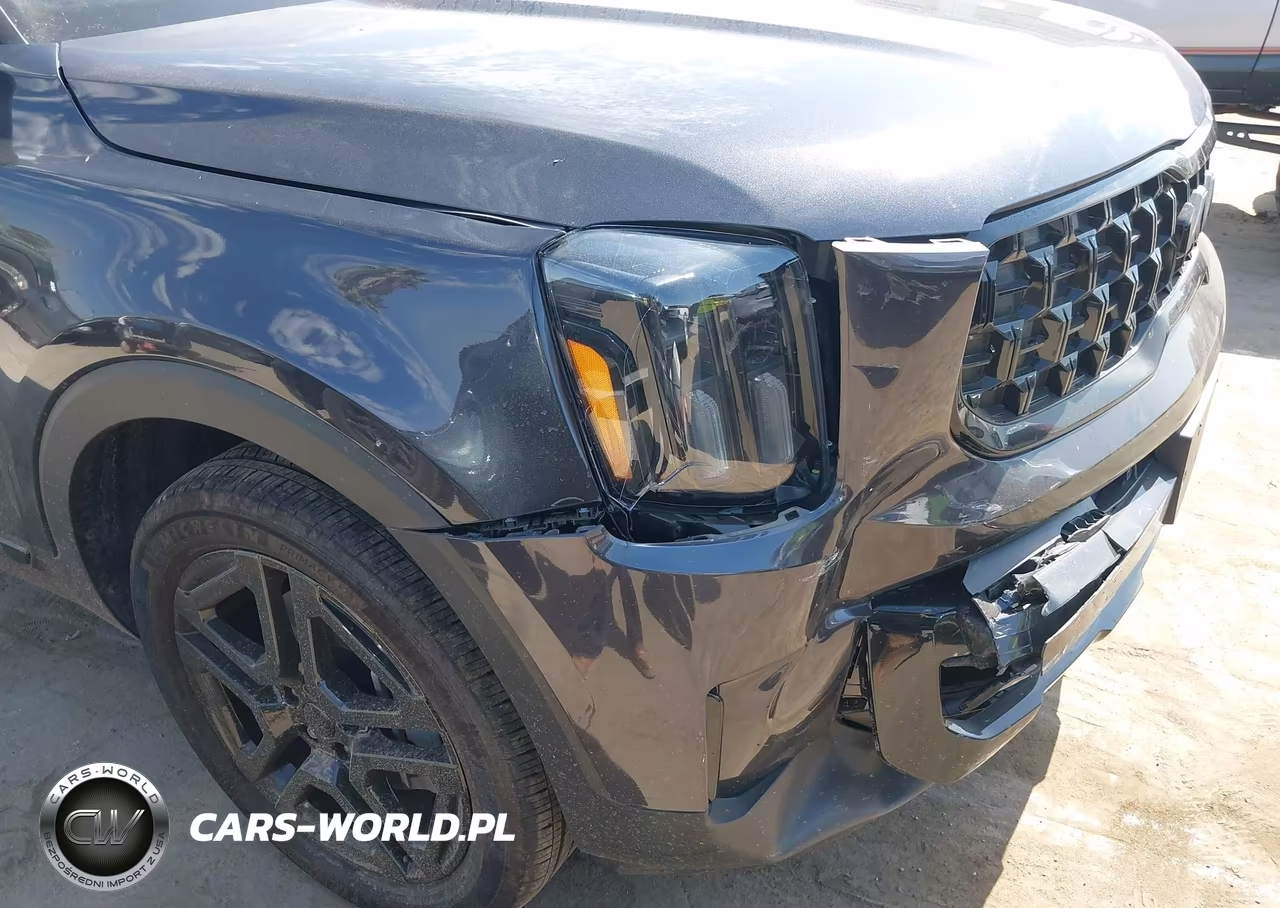 2025 Kia Telluride Ex X-Line VIN:5XYP3DGC0SG644592 - 6