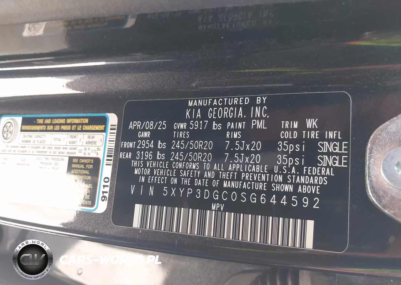 2025 Kia Telluride Ex X-Line VIN:5XYP3DGC0SG644592 - 9