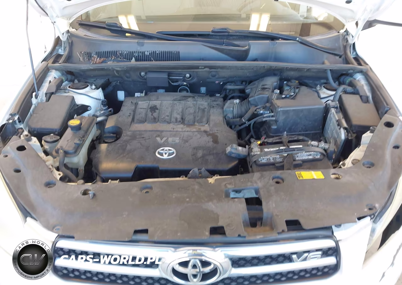 2006 Toyota Rav4 Limited V6 VIN:JTMBK31V865010348 - 10